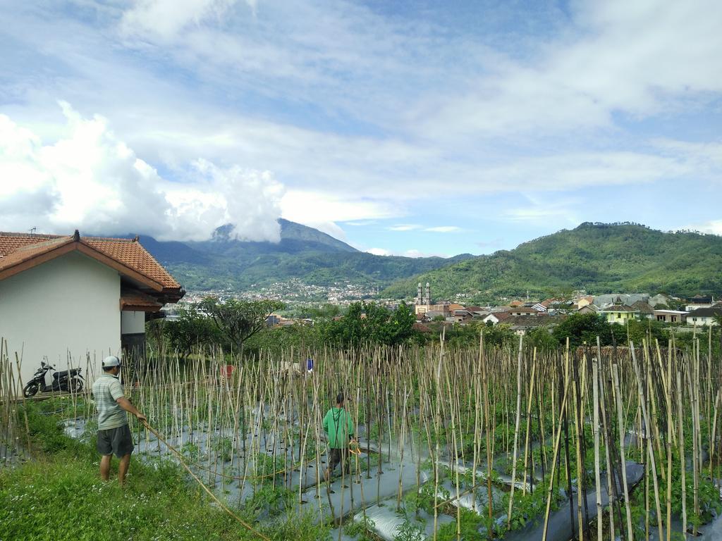 Shanty'S House Batu  Exterior foto
