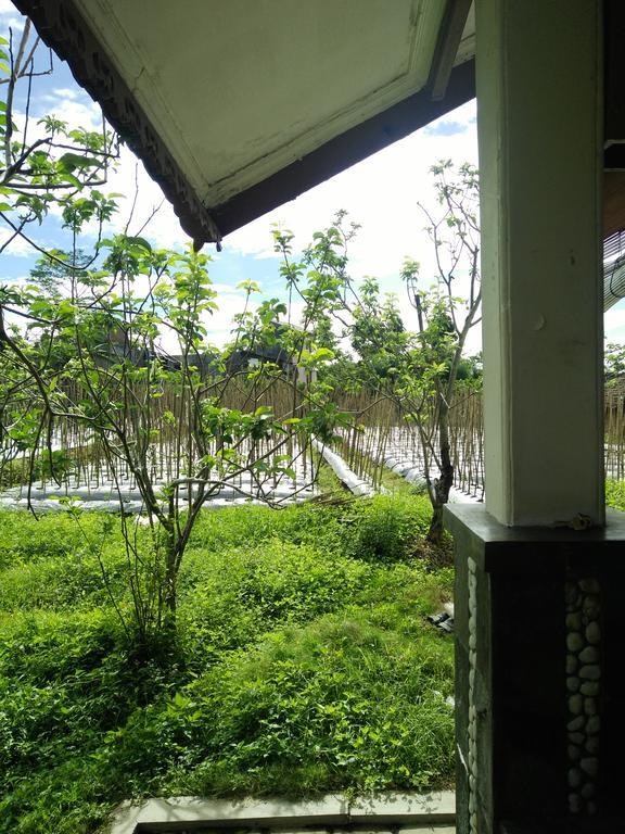 Shanty'S House Batu  Exterior foto