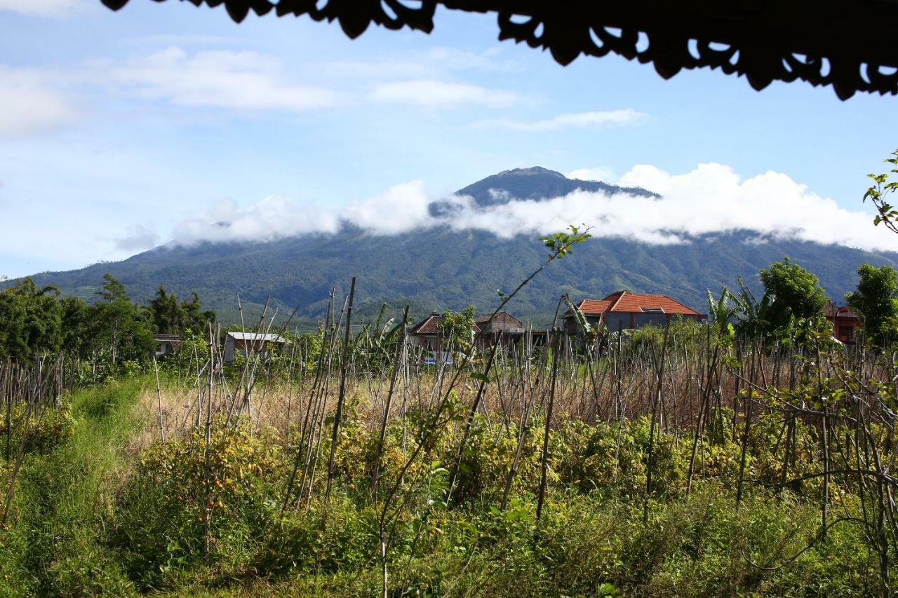 Shanty'S House Batu  Exterior foto